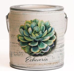 Succulent-Farm Fresh 20oz Candle, FR1164