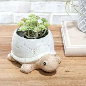 7" Beige Turtle Planter (Planter Only), FR1207